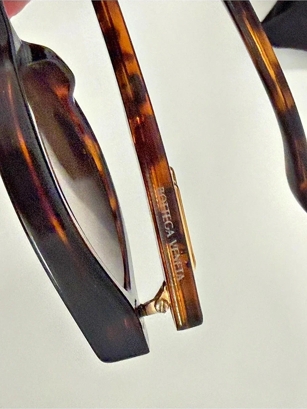 Bottega Veneta BV1447S Cat-Eye Sunglasses in Brown & Black
